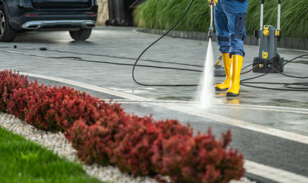 Roof Power Washing Services in Waldorf, MD